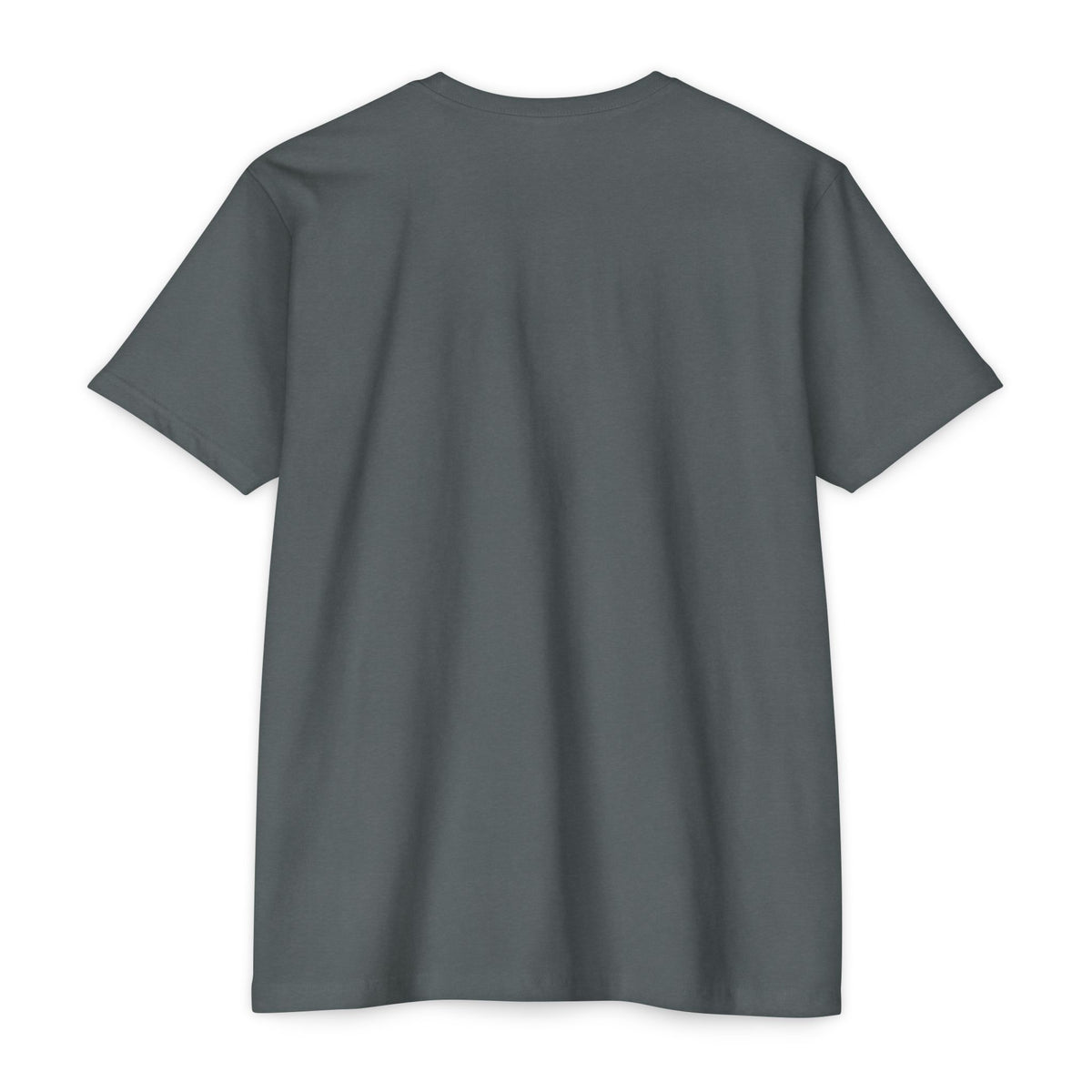Spartan Warrior T-Shirt — Vintage Helmet & Shield Illustration